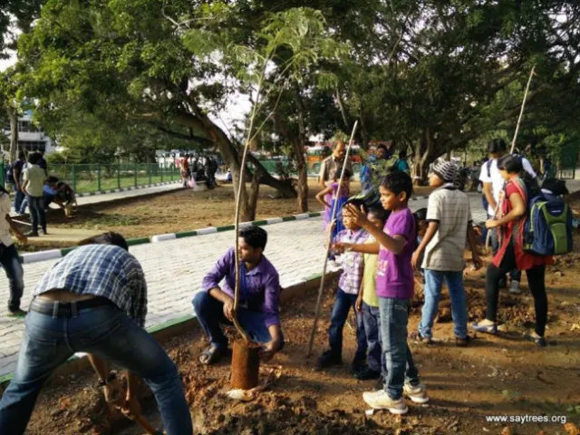 Community Service